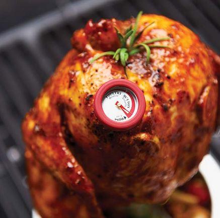 BroilKingMiniMeatThermometersinmeatonBBQ.jpg BroilKingMiniMeatThermometersinmeatonBBQ.jpg